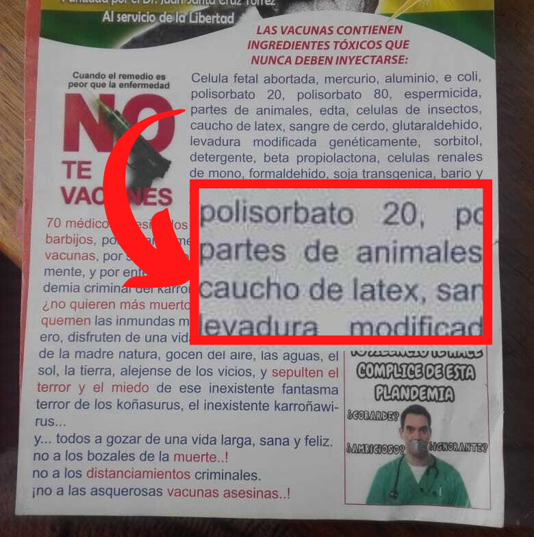 Las vacunas no tienen partes de animales