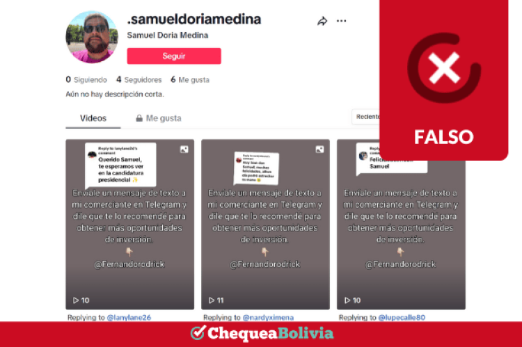 Una captura del perfil falso en TikTok. 