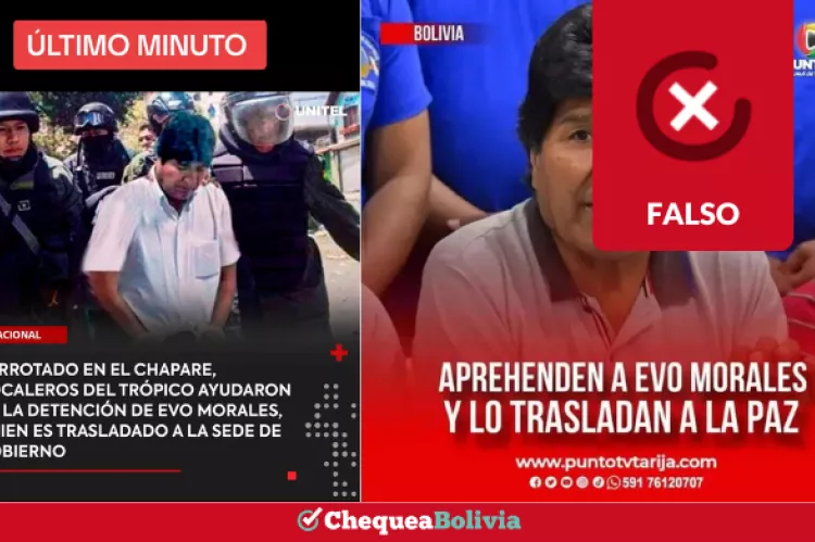 Portadas de las imágenes que circulan mediante TikTok.