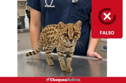 Una captura de la información falsa que circula en las redes sociales. 