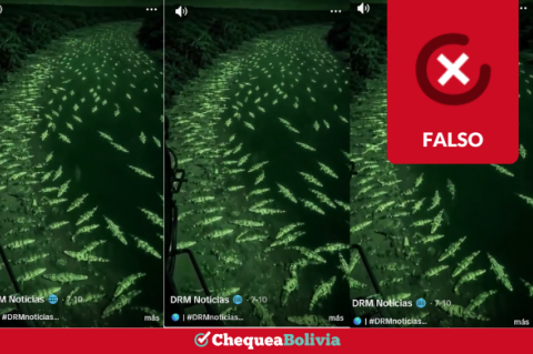 Una captura de la información falsa que circula en las redes sociales. 