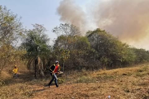 Uno de los puntos del incendio en Roboré. Foto: CAO. 