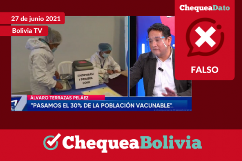 Captura de la entrevista realizada al viceministro Álvaro Terrazas (Fuente: Bolivia Tv).