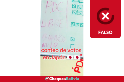 Captura del contenido que desinforma sobre los votos en Japón.